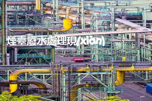 煙臺廢水處理現(xiàn)狀調(diào)查與未來發(fā)展方向探索？